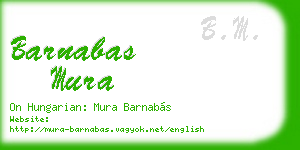 barnabas mura business card